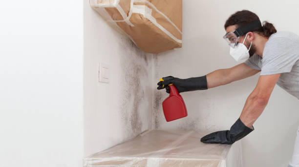 Professional Commercial Mold Remediation technician working in Linden, AZ